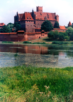 zamek malbork (fot.freeimages.com)