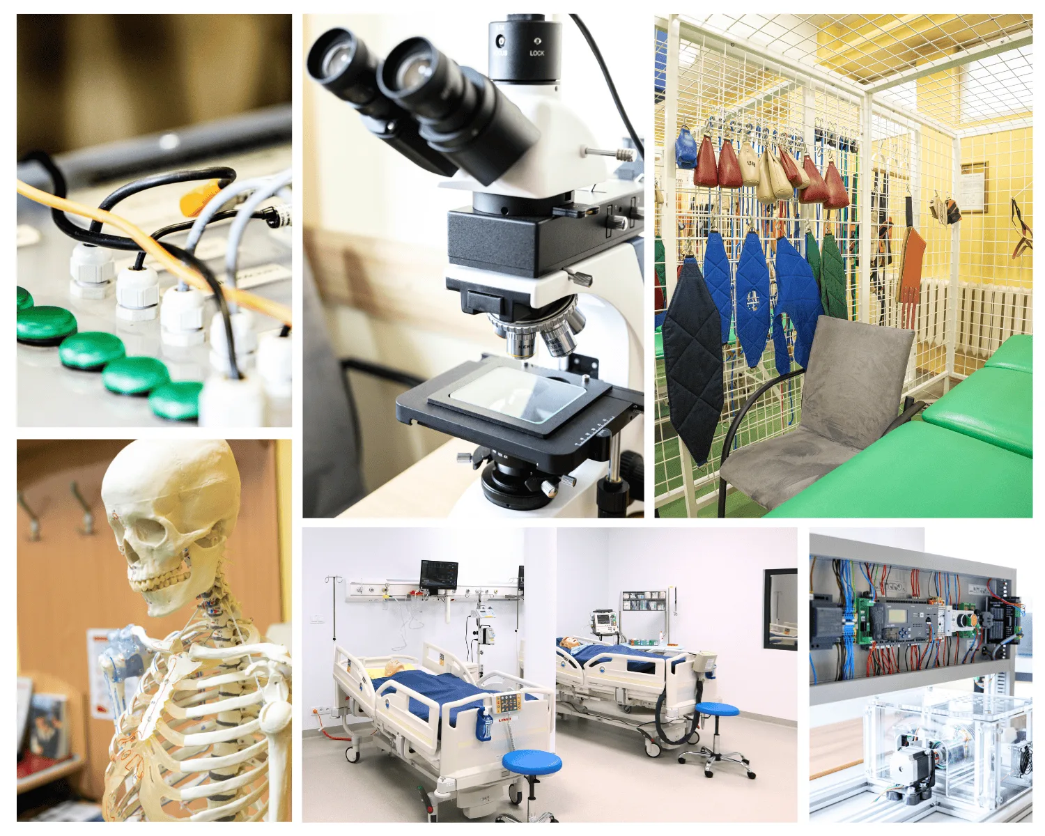 Projekt bez nazwy (18).png